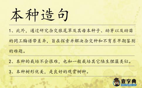 本種造句