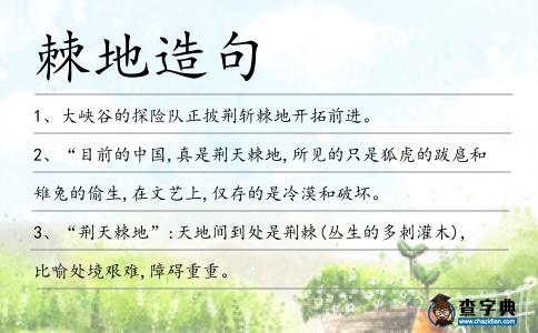 棘地造句