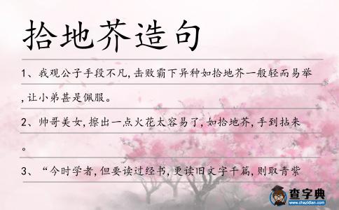 拾地芥造句
