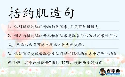 括約肌造句