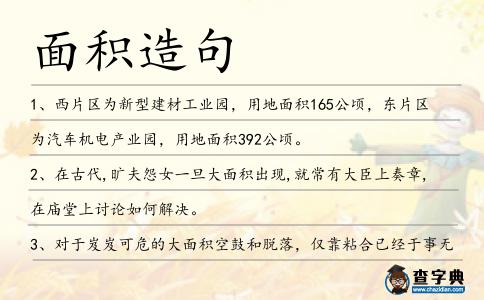 面積造句