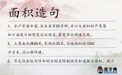 面積造句