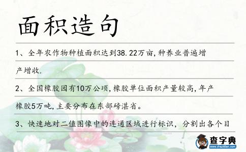 面積造句