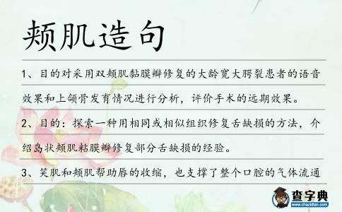 頰肌造句