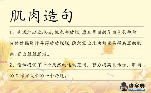 肌肉造句