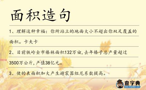 面積造句