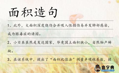 面積造句