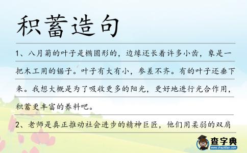 積蓄造句