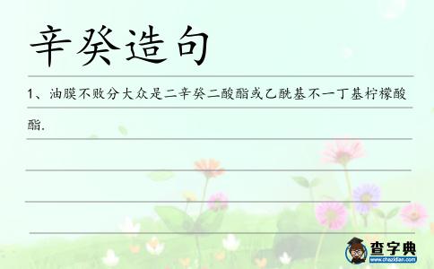 辛癸造句