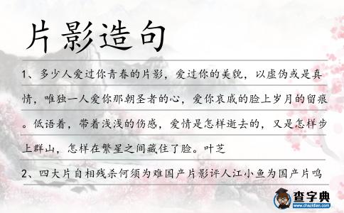 片影造句