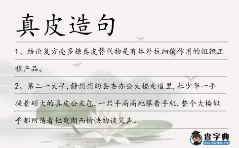 真皮造句