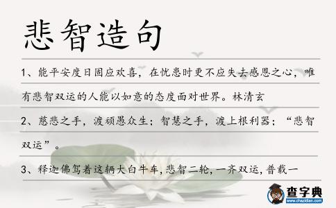 悲智造句