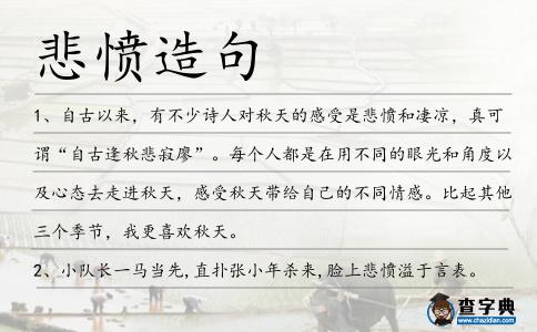 悲憤造句