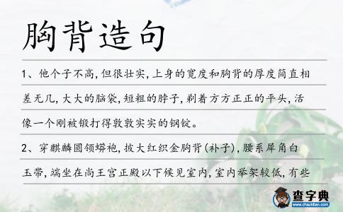 胸背造句