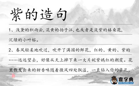 紫的造句