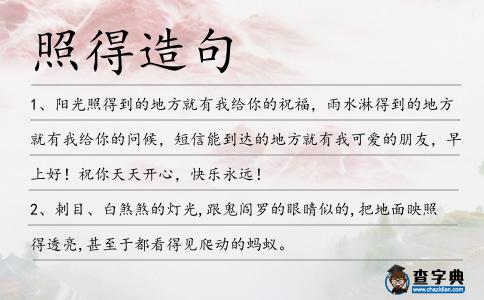 照得造句