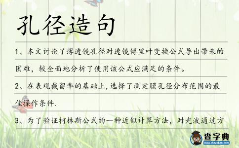 孔徑造句