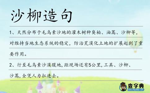 沙柳造句