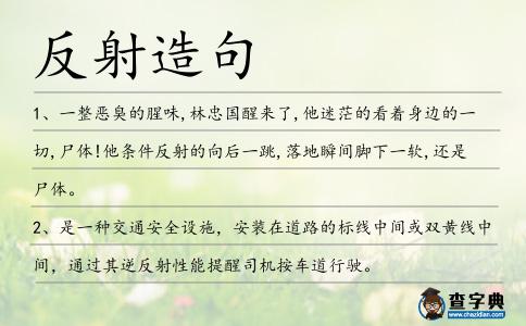 反射造句