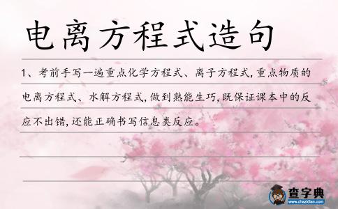 電離方程式造句