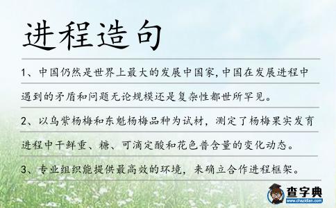 進程造句