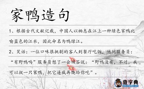 家鴨造句