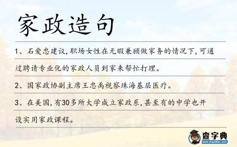 家政造句