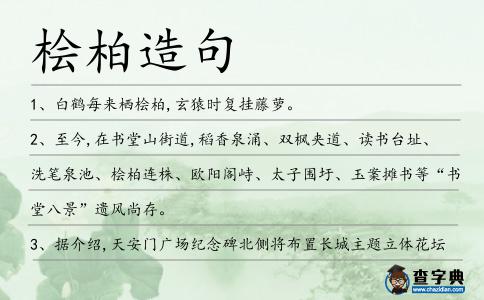 檜柏造句