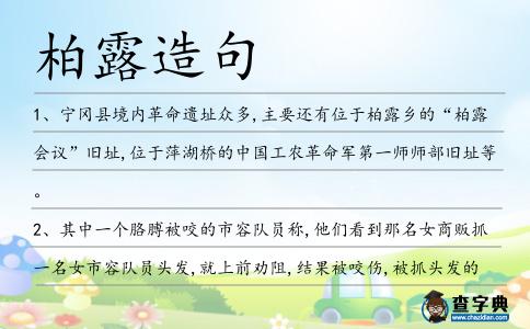 柏露造句