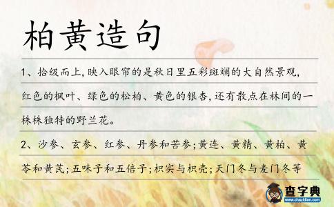 柏黃造句