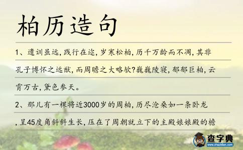 柏歷造句