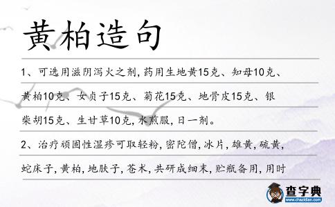 黃柏造句