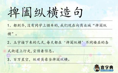 捭闔縱橫造句