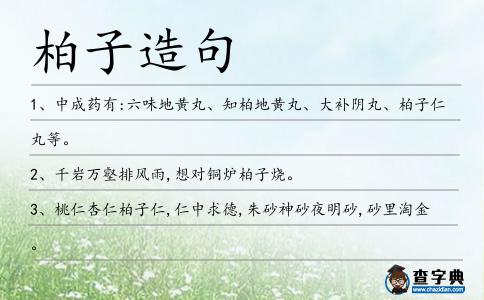 柏子造句