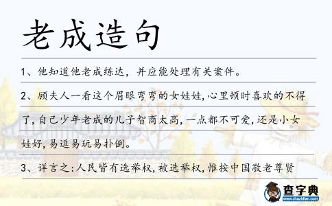 老成造句
