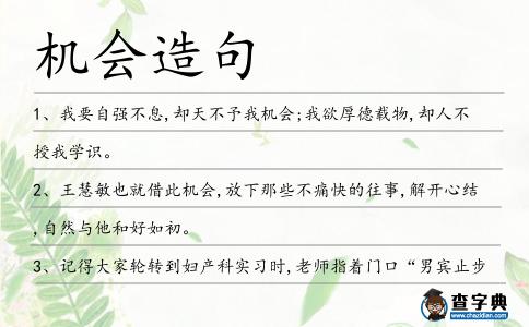 機會造句