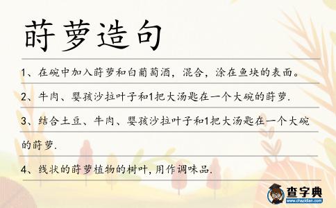 蒔蘿造句