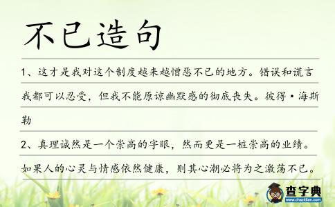 不已造句