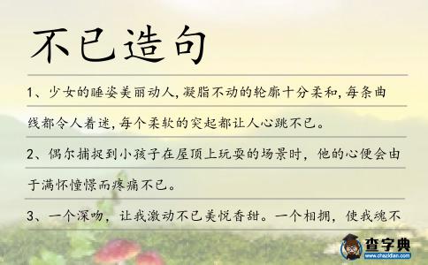 不已造句