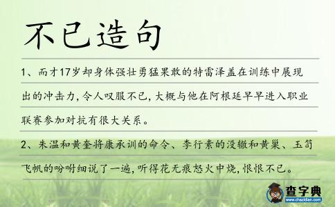不已造句