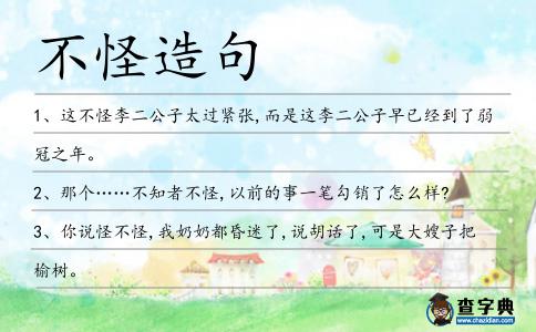 不怪造句