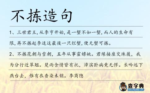 不揀造句