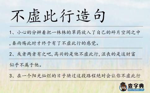 不虛此行造句