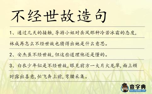 不經世故造句