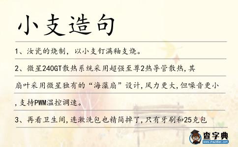 小支造句