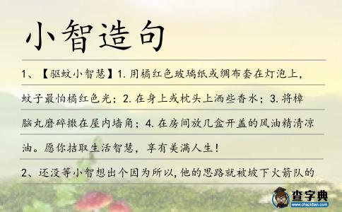 小智造句