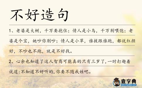 不好造句