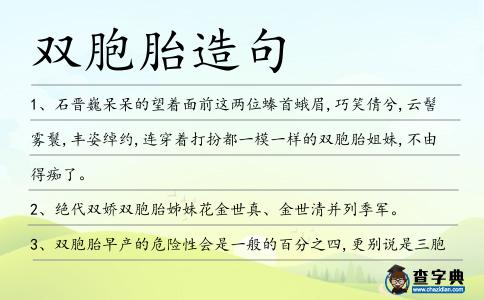 雙胞胎造句