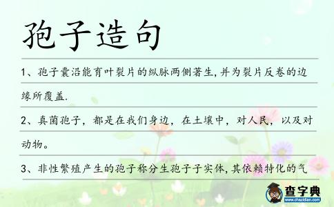 孢子造句