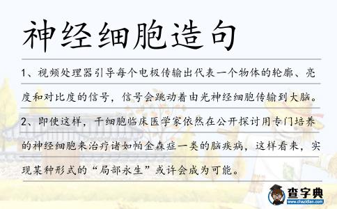 神經細胞造句